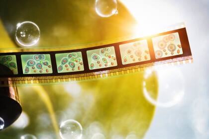 03/05/2023 Usando el láser de rayos X de SLAC, los investigadores finalmente han visto el proceso por el cual la naturaleza crea el oxígeno que respiramos. POLITICA EUROPA ESPAÑA INVESTIGACIÓN Y TECNOLOGÍA Greg Stewart/SLAC National Accelerator Laboratory