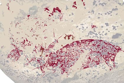 04/07/2024 La pintura representa tres figuras humanas interactuando con un cerdo salvaje. POLITICA INVESTIGACIÓN Y TECNOLOGÍA UNIVERSIDAD DE GRIFFITH