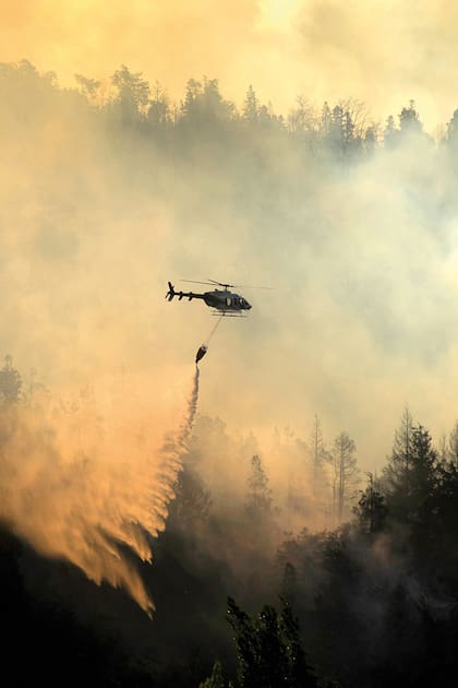 Un incendio forestal en el Bolsón, en el sur de la Argentina