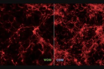 05/04/2023 Distribución de materia primordial en modelos cosmológicos con materia oscura caliente (WDM, izquierda) y materia oscura fría (CDM, derecha). POLITICA INVESTIGACIÓN Y TECNOLOGÍA INAF