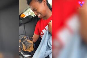 05/06/2023 Este joven con pánico a los perros reacciona despavorido cuando se le acerca un rottweiler. A menudo se dice que los perros son los mejores amigos del hombre, pero esto no podría estar más lejos de la verdad para este joven, que reaccionó de forma divertida aunque asustada cuando se le acercó el perro de su hermano mayor. POLITICA YOUTUBE - VIDELO - KIARA WELLS Y NEO BYE