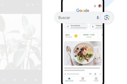 05/08/2024 Google Lens. POLITICA GOOGLE