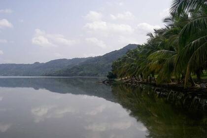 06/05/2022 Vegetación costera en el lago Bosumtwi, un lago de cráter en Ghana. El lago Bosumtwi fue creado por el impacto de un meteorito hace alrededor de 1 millón de años y se ha estado llenando de sedimentos desde entonces..  La vegetación tropical se beneficia menos del dióxido de carbono  atmosférico elevado de lo que pensaban los investigadores, según señala un equipo internacional en la revista Science.  POLITICA INVESTIGACIÓN Y TECNOLOGÍA WILLIAM D. GOSLING