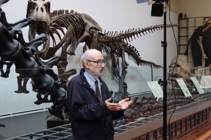 07/06/2022 Cultura.- José Luis Sanz García, paleontólogo: "Jurassic Park ha hecho más por la ciencia que muchos Gobiernos".  MADRID, 7 (CulturaOcio) Este jueves 9 de junio llega a los cines 'Jurassic Wold: Dominion', la nueva película de la saga 'Jurassic Park' que promete ser el "capítulo final" de la historia que Steven Spielberg inició allá por 1993 con el estreno de 'Parque Jurásico'. Una franquicia cinematográfica que desató una fiebre por los dinosaurios que dura hasta la actualidad y que, en palabras del paleontólogo José Luis Sanz García, hizo más por fomentar "la investigación y la ciencia que muchos Gobiernos".  CULTURA UNIVERSAL PICTURES