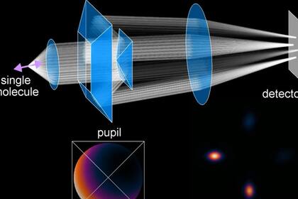 07/12/2022 Descripción de la nueva técnica de imagen microscópica.  Una nueva tecnología de imagen microscópica, inspirada en parte en el diseño del telescopio espacial James Webb (JWST), es capaz de observar las moléculas en seis dimensiones.  POLITICA INVESTIGACIÓN Y TECNOLOGÍA WUSTL