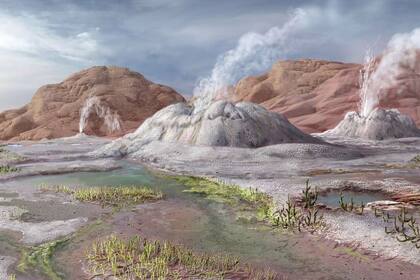 07/12/2023 Interpretación artística del yacimiento Rhynie Chert en el período Devónico temprano POLITICA INVESTIGACIÓN Y TECNOLOGÍA VICTOR O. LESHYK/NHM