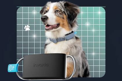 08/01/2024 El nuevo collar inteligente para perros de Invoxia, Minitailz. POLITICA INVOXIA