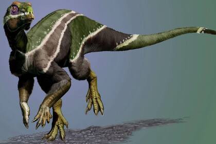 08/06/2023 Dinosaurio 'Iani smithi' POLITICA INVESTIGACIÓN Y TECNOLOGÍA JORGE GONZALEZ