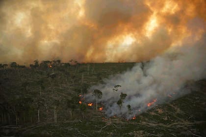 08/07/2020 Incendio forestal en el Amazonas POLITICA SUDAMÉRICA EUROPA ASIA EUROPA BRASIL RUSIA INDONESIA ESPAÑA SOCIEDAD GREENPEACE