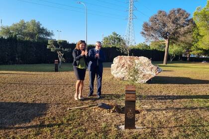 08/09/2023 Cádiz.- La UCA planta un alcornoque en honor a Alejandro Sanz en su campus de Puerto Real . El rector en funciones de la Universidad de Cádiz, Francisco Piniella, ha plantado este viernes en la explanada anterior del Campus de Puerto Real --una zona conocida como 'el Bosque de los Honoris'-- un alcornoque que llevará el nombre de Alejandro Sanz, en honor al recién investido doctor Honoris Causa por la UCA. SOCIEDAD UCA