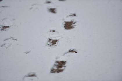 10/01/2024 Pisadas en la nieve, a 10 de enero de 2024, en Jaca, Huesca, Aragón (España). La DANA ha llegado a Aragón con lluvia, frío y nieve, poniendo en alerta a los servicios de protección civil de la comunidad. Los primeros copos de nieve ya han empezado a caer en el norte de Huesca y han dejado varias carreteras afectadas por la nieve. Las previsiones de la Agencia Estatal de Meteorología (Aemet) hablan de que el temporal dejará espesores de hasta 15 centímetros en varias comarcas de la Provincia de Huesca. SOCIEDAD Verónica Lacasa - Europa Press