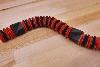 10/05/2024 Nuevo robot oruga diseñado en Princeton POLITICA INVESTIGACIÓN Y TECNOLOGÍA WOJCIECHOWSKI.