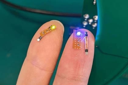 11/04/2024 Implante de Starfish Neuroscience. El cofundador de Valve y Steam, Gabe Newell, ha presentado un nuevo proyecto con el que pretende romper las barreras de las interfaces neuronales para ofrecer experiencias de juego más inmersivas. POLITICA INVESTIGACIÓN Y TECNOLOGÍA STARFISH NEUROSCIENCE