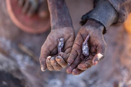 11/06/2021 Personas del sur de Madagascar comen langostas para sobrevivir ante la crisis causada por varios años consecutivos de sequía SOCIEDAD AFRICA INTERNACIONAL MADAGASCAR PMA/TSIORY ANDRIANTSOARANA