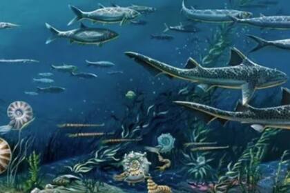 11/07/2023 El movimiento en las placas tectónicas de la Tierra provoca indirectamente explosiones de biodiversidad en ciclos de 36 millones de años al obligar a los niveles del mar a subir y bajar,. El movimiento de las placas tectónicas de la Tierra desencadena indirectamente estallidos de biodiversidad en ciclos de 36 millones de años al forzar la subida y bajada del nivel del mar. POLITICA INVESTIGACIÓN Y TECNOLOGÍA UNIVERSIDAD DE SYDNEY