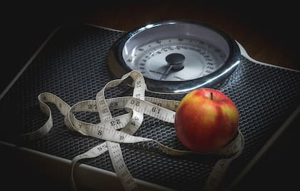 Los expertos de Harvard armaron este plato en consecuencia al aumento de enfermedades crónicas y problemas asociados a la obesidad