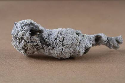 12/04/2023 Muestra de la fulgurita descubierta en Florida POLITICA INVESTIGACIÓN Y TECNOLOGÍA MATTHEW PASEK