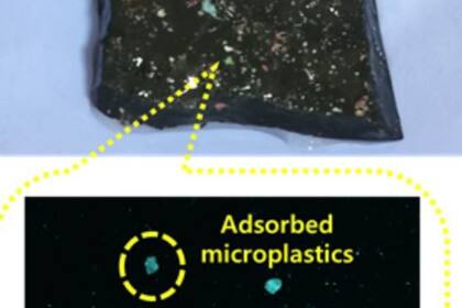 12/04/2024 Adsorción de microplásticos en hidrogel y detección de microplásticos marcados con fluorescencia mediante espectroscopia.. Investigadores del Instituto Indio de Ciencias (IISc) han diseñado un hidrogel sostenible para eliminar del agua microplásticos, un contaminante emergente en todo el mundo. POLITICA INVESTIGACIÓN Y TECNOLOGÍA SOUMI DUTTA