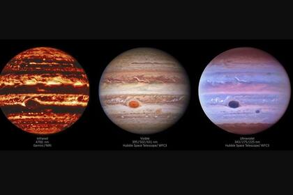 12/05/2021 Nuevas imágenes de Júpiter revelan multitud de rasgos atmosféricos.  Nuevas imágenes de Júpiter desde el telescopio terrestre Gemini North y el espacial Hubble muestran el planeta gigante en longitudes de onda de luz infrarroja, visible y ultravioleta.  POLITICA INVESTIGACIÓN Y TECNOLOGÍA GEMINI OBSERVATORY/NOIRLAB/NSF/AURA/NASA/ESA