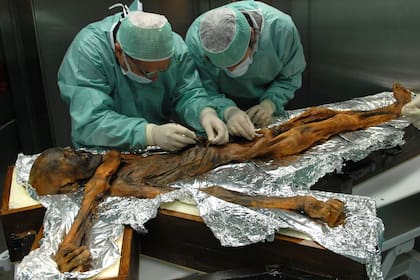 12/07/2018 El primer análisis en profundidad del contenido estomacal de Otzi, el cadáver momificado por el frío durante 5.300 años, hallado en 1991 en un glaciar alpino, comió por última vez alimentos ricos en grasa POLITICA INVESTIGACIÓN Y TECNOLOGÍA SOUTHTYROLARCHAEOLOGYMUSEUM\EURAC\M.SAMADELLI