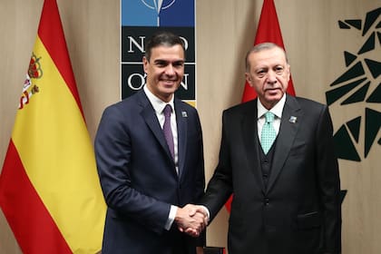 12/07/2023 El presidente del Gobierno, Pedro Sánchez, y el presidente de Turquía, Recep Tayyip Erdogan, durante su reunión bilateral en los márgenes de la Cumbre de la OTAN en Lituania POLITICA POOL MONCLOA/FERNANDO CALVO