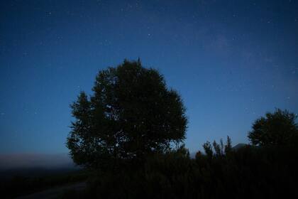 12/08/2023 Lluvia de Perseidas vista desde la sierra de Os Ancares, a 13 de agosto de 2023, en Lugo, Galicia (España). Las Perseidas, popularmente conocidas como las lágrimas de San Lorenzo debido a que su apogeo suele acercarse al tiempo a las festividades de este santo,? son una prolífica lluvia de meteoros anual durante los meses de julio y agosto. SOCIEDAD Carlos Castro - Europa Press