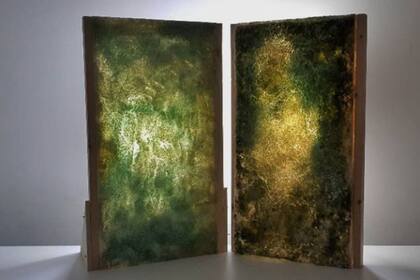 12/08/2024 El nuevo biomaterial de construcción se presentó como parte de una instalación de arte en el Jardín Botánico de St Andrews en Escocia. POLITICA INVESTIGACIÓN Y TECNOLOGÍA UCL