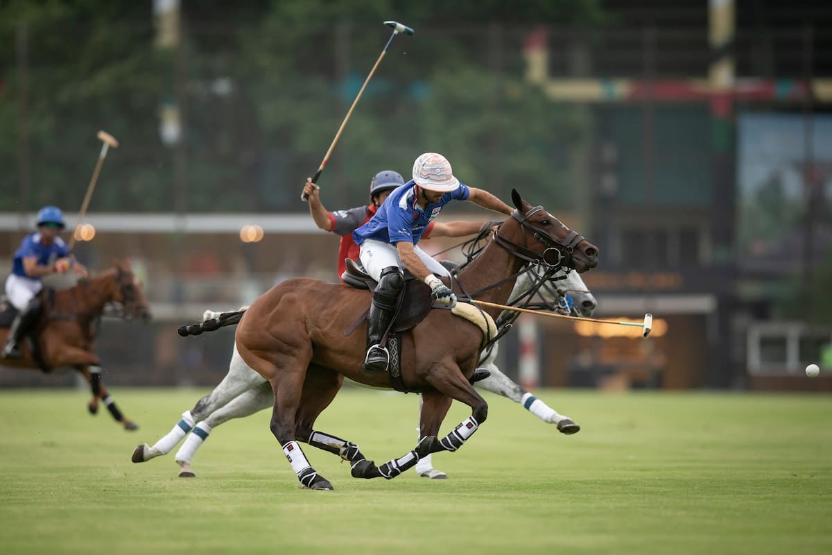 1278 ABIERTO ARG. DE POLO HSBC - Murus Sanctus vs. La Irenita II