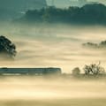 Niebla