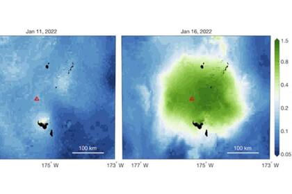 13/10/2022 Mapas de clorofila oceánica antes (izquierda) y después (derecha) de la erupción. POLITICA INVESTIGACIÓN Y TECNOLOGÍA BARONE, ET AL., 2022