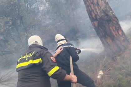 14-11-2021 Incendios en Líbano POLITICA ORIENTE PRÓXIMO ASIA LÍBANO INTERNACIONAL DEFENSA CIVIL DE LÍBANO