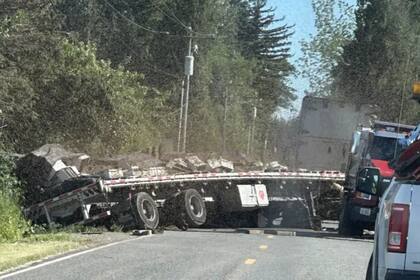 14 millones de abejas invadieron una carretera del condado de Whatcom luego de que el camión que las transportaba volcara