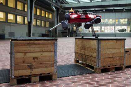 14/03/2024 El robot cuadrúpedo ANYmal practica parkour en una sala de la ETH Zurich. POLITICA INVESTIGACIÓN Y TECNOLOGÍA ETH ZURICH / NIKITA RUDIN)