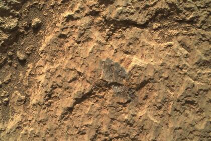 14/05/2021 Imagen enfocada de objetivo de roca en Marte por la cámara WATSON del rover Perseverance.  El rover Perseverance de la NASA ha empezado a usar la cámara WATSON en el extremo de su brazo robótico para realizar una prueba de enfoque de objetivos de roca en la superficie del Planeta Rojo.  POLITICA INVESTIGACIÓN Y TECNOLOGÍA NASA/JPL-CALTECH/MSSS