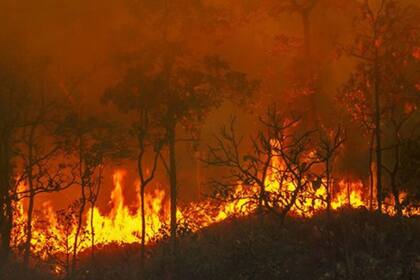 14/08/2024 El cambio climático aumentó las probabilidades de incendios forestales sin precedentes en 2023-24 POLITICA INVESTIGACIÓN Y TECNOLOGÍA UNIVERSIDAD DE EAST ANGLIA