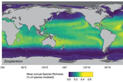 15-10-2021 Hoy en día, la diversidad de especies de zooplancton es mayor en las regiones tropicales y subtropicales (amarillo) y menor en los mares polares (violeta). POLITICA INVESTIGACIÓN Y TECNOLOGÍA ETH ZURICH