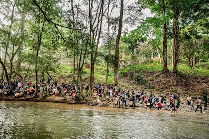 15/03/2024 Un grupo de migrantes atraviesa el Tapón del Darién, en la frontera entre Colombia y Panamá POLITICA CENTROAMÉRICA INTERNACIONAL PANAMÁ MSF/JUAN CARLOS TOMASI