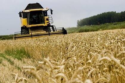 15/08/2012 Cosechadora en un campo de trigo ECONOMIA ZARAGOZA ARAGÓN ESPAÑA EUROPA GOBIERNO DE ARAGÓN