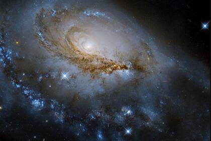 15/09/2022 Galaxia NGC 1961 POLITICA INVESTIGACIÓN Y TECNOLOGÍA NASA, ESA, J. DALCANTON