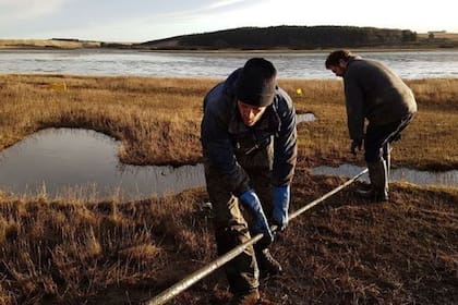15/09/2023 El núcleo de sedimento se extrae del estuario de Ythan. POLITICA INVESTIGACIÓN Y TECNOLOGÍA UNIVERSIDAD DE LEEDS