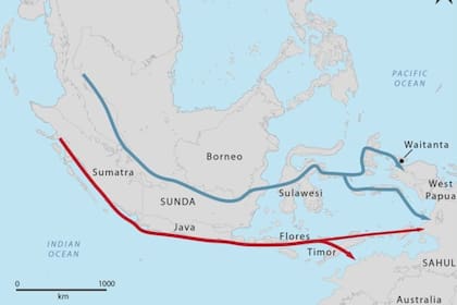 16/08/2024 Antiguas rutas de migración de Asia a la región del Pacífico POLITICA INVESTIGACIÓN Y TECNOLOGÍA DYLAN GAFFNEY (RAJA AMPAT ARCHAEOLOGICAL PROJECT)
