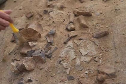 17/05/2022 Investigadores del Museo de Historia Natural de la ciudad de Bayannur, Mongolia Interior, tratan el fósil de dinosaurio que descubrieron..  Un fósil de dinosaurio relativamente completo, que data de aproximadamente 125 millones de años, ha sido descubierto en la región de Mongolia Interior, en el norte de China.  POLITICA INVESTIGACIÓN Y TECNOLOGÍA NATURAL HISTORY MUSEUM OF BAYANNUR CITY