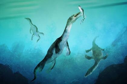 17/06/2024 Reconstrucción del reptil marino más antiguo del hemisferio sur. Notosaurios nadando a lo largo de la antigua costa polar sur de lo que hoy es Nueva Zelanda hace unos 246 millones de años. POLITICA INVESTIGACIÓN Y TECNOLOGÍA STAVROS KUNDROMICHALIS.