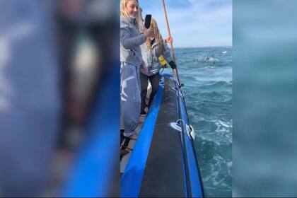 17/07/2023 Este es el tenso momento en que un tiburón mordió y desinfló un barco durante una caótica carrera de sardinas. SOCIEDAD YOUTUBE - VIDELO - JAMES LEES