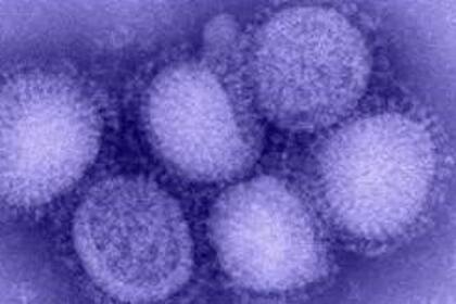 18-11-2020 Virus de la gripe. SALUD CDC, 2020