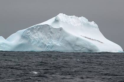 18-11-2021 Iceberg en la Antártida POLITICA INVESTIGACIÓN Y TECNOLOGÍA UNI BONN/ MICHAEL WEBER