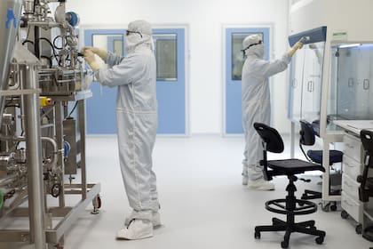 En la Argentina, la volatilidad macroeconómica y la carga impositiva profundizan las dificultades para importar materiales biológicos