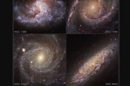 21/04/2022 Los agujeros negros arrasan con miles de estrellas para ganar peso.  Un estudio de más de 100 galaxias con el Observatorio de Rayos X Chandra de la NASA ha revelado signos de que los agujeros negros están demoliendo miles de estrellas en pos de aumentar de peso.  POLITICA INVESTIGACIÓN Y TECNOLOGÍA NASA/CXC/WASHINGTON STATE/NASA/ESA/STSCI
