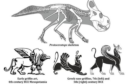 21/06/2024 Protoceratops y grifo POLITICA INVESTIGACIÓN Y TECNOLOGÍA UNIVERSIDAD DE PORTSMOUTH
