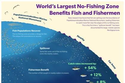 21/10/2022 La zona de no pesca más grande del mundo beneficia a los peces y a los pescadores POLITICA INVESTIGACIÓN Y TECNOLOGÍA SARAH MEDOFF
